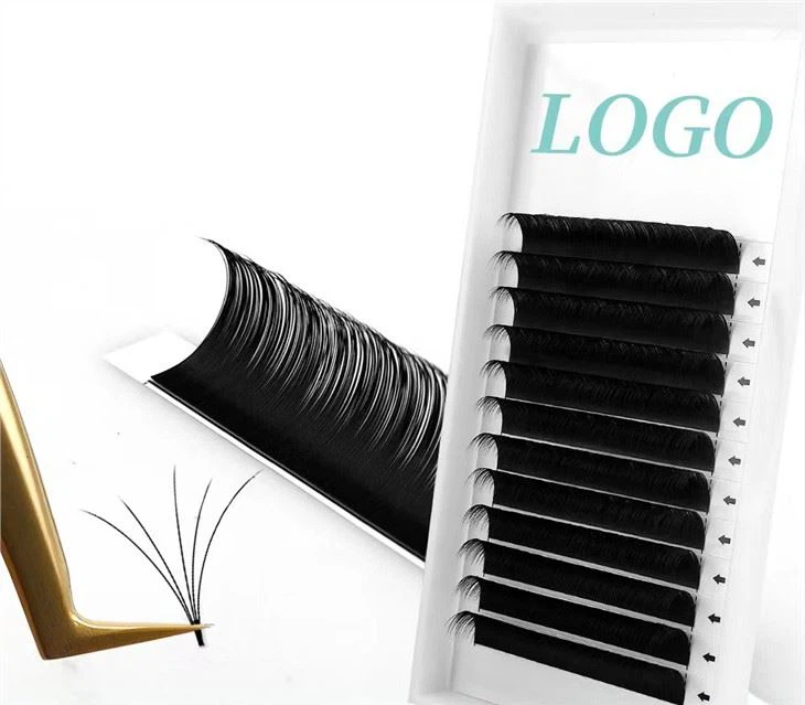 Kamelien-Wimpernverlängerungen