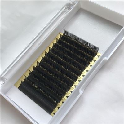 Koreanisch flache Wimpern