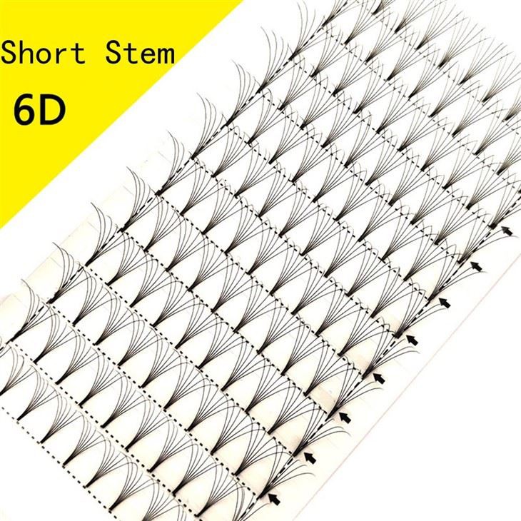 6d Wimpernverlängerungen