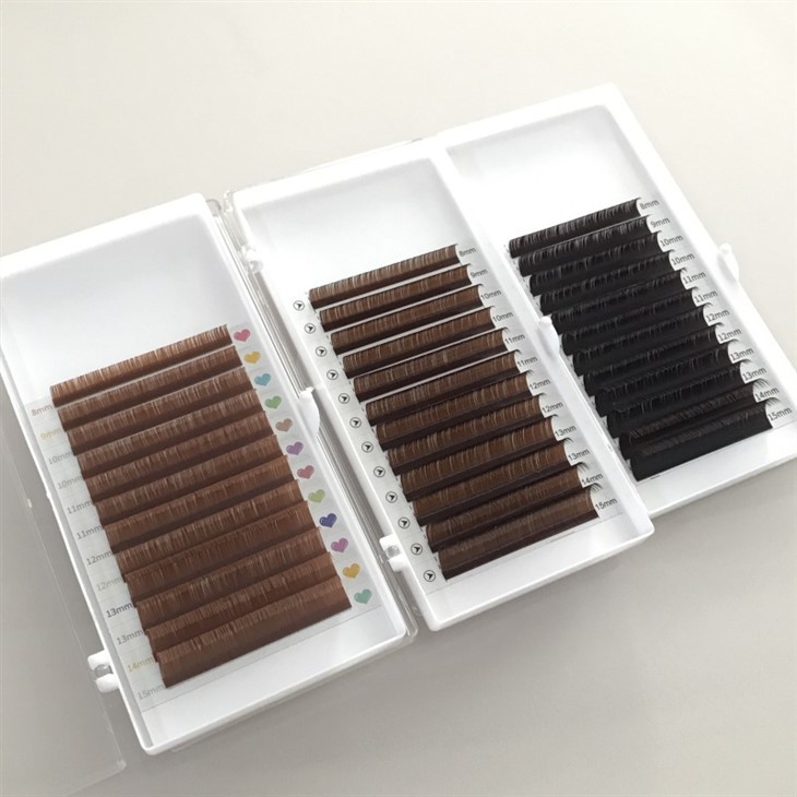 Brown Lash -Erweiterung